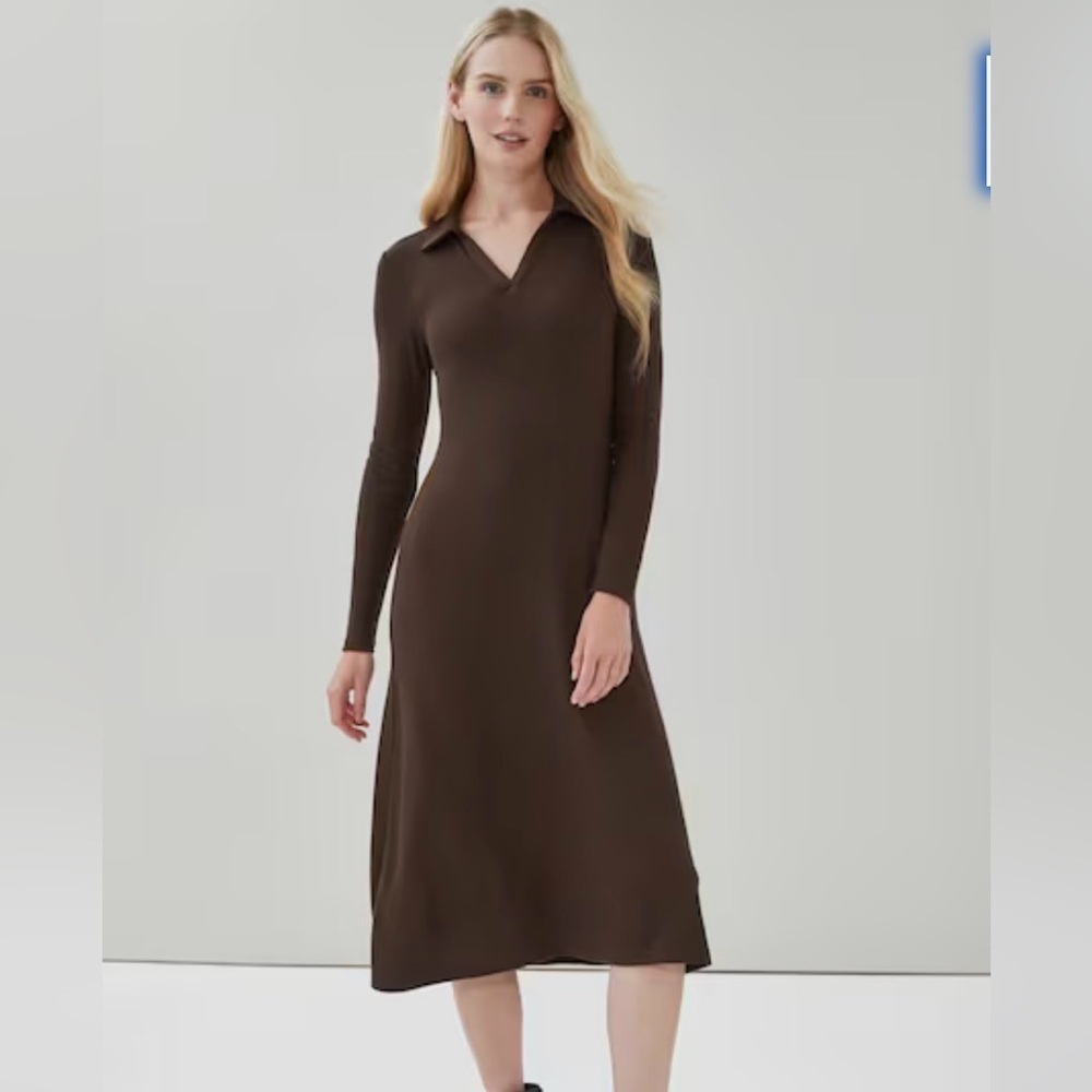Elegant Brown Long Sleeve Dress
